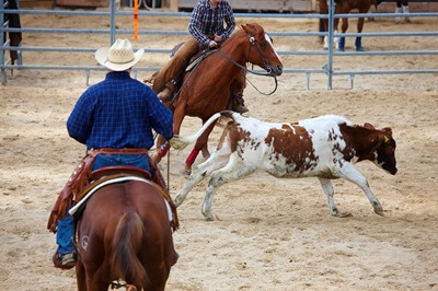 Rodeo Scene